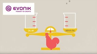 Best performance for your business  MetAMINO®  Evonik [upl. by Yelkao]