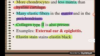 Histology Cartilage  Part 2 [upl. by Ahsito595]