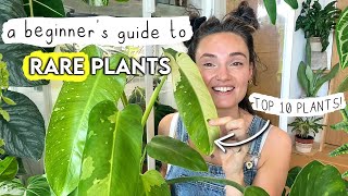 10 Amazingly Easy RARE Plants 🌱 A Beginners Guide To Rare Houseplants [upl. by Ainet]