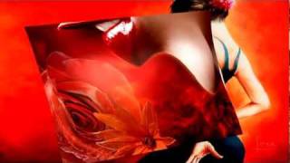 No More Boleros ♡•¸•♥ Gerard Joling lyrics HD [upl. by Alyks331]