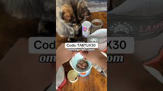 Raw Cat Food Toppers  Raw Cat Food Diet  Raw Cat Feeding  Healthy Cat Food shorts cat catshort [upl. by Nallid]