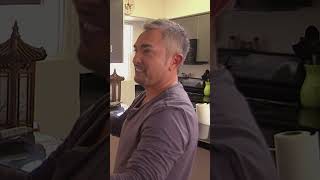 Cesar Millan Training Jealous Dogs dogwhisperer dogs [upl. by Aid]