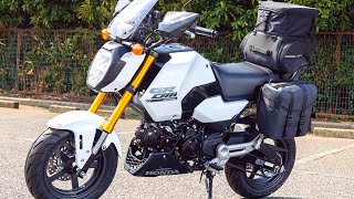 New 2024 Honda Grom 125cc Released Date Specs Price Colors Japan [upl. by Nyltak]