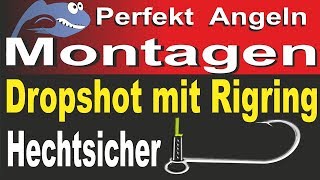 Perfekt Angeln – Hechtsichere Drop Shot Montage mit Rigring hechtsicher auf Zander und Barsch [upl. by Cornish]