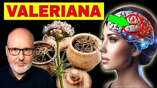 ENFERMEDADES que SANAN con VALERIANA CÓMO USARLA [upl. by Thad]