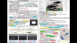 SHEET FINAL REVISION GENERAL MICROBIOLOGY شرح بالعربي [upl. by Dorine13]