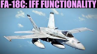 FA18C Hornet Basic Initial IFF Functionality  DCS WORLD [upl. by Nahttam]