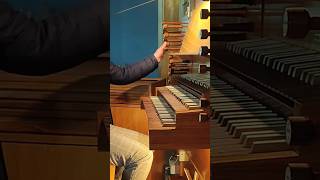 RUTYNA organista organy praca orgel orgelvlog orgelmusik dailyvlog [upl. by Fogg]