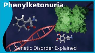 What is Phenylketonuria [upl. by Ezirtaeb687]