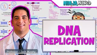 Cell Biology  DNA Replication 🧬 [upl. by Garda]