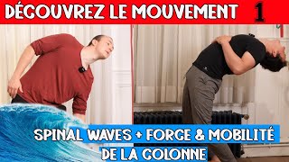 Culture du Mouvement 1  Spinal waves mobilisation de la colonne  force du dos séance complète [upl. by Dasha]