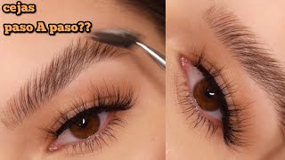 COMO MAQUILLAR CEJA CON ESPACIOS VACÍOS  CEJAS PERFECTAS [upl. by Karlise44]