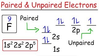 How To Determine The Number of Paired and Unpaired Electrons [upl. by Alyakcm]