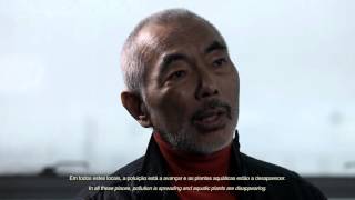 Entrevista  Interview Takashi Amano on quotNature Aquariumquot [upl. by Carew]