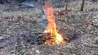 Orchard Design 3  Biochar Processing in Cone Pit Trench Method [upl. by Michigan]