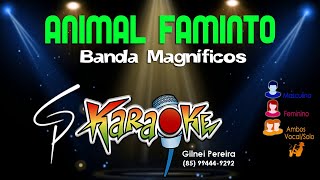 Karaokê Banda Magníficos  Animal Faminto [upl. by Stedt]