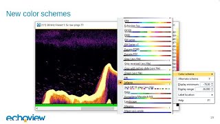 How to use the new features in Echoview 11 webinar recording [upl. by Adelric346]