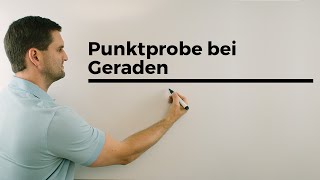 Punktprobe bei Geraden in der Vektorgeometrie  Mathe by Daniel Jung [upl. by Gnemgnok]