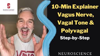 HOW TO TEST YOUR VAGUS NERVE  Polyvagal Theory [upl. by Isnam]