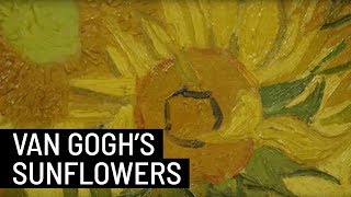 The Origin of Vincent Van Goghs famous sunflowers [upl. by Willett730]