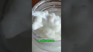 KEFIR DE AGUA O LECHE PARA PERROS [upl. by Jarv]