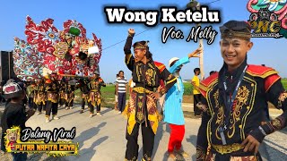 Dalang Viral ❗ WONG KETELU VOC MELLY  PUTRA NAFITA CAYA PNC  LUDOYONG  TRISI [upl. by Leiuqeze185]