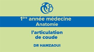 1ère année médecine Anatomie larticulation de coude [upl. by Slin241]