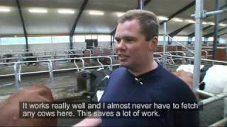 Marcus Kraft VMS DeLaval Östergård  DeLaval Automated Milking Solutions  DeLaval [upl. by Anirdna]