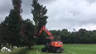 Bomen rooien met mobilekraan [upl. by Urbanna]