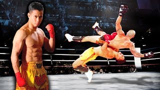 Cung Le Sanshou fighter [upl. by Allehcram954]