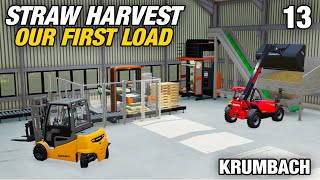 PELLETING AND PALLETISING  Krumbach  Farming Simulator 22  Episode 13 [upl. by Haron]