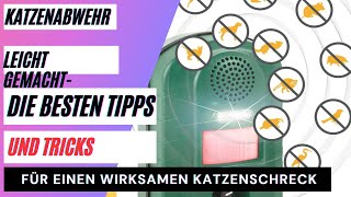 Katzenabwehr leicht gemacht  Die besten Tipps und Tricks für einen wirksamen Katzenschreck [upl. by Eiramnwad955]