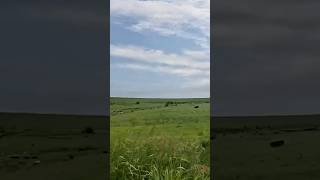 The Flint Hills Trail 2 An Excerpt from My FHT Bike Touring YouTube Series bikeride bikepacking [upl. by Merp]