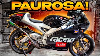 L RS250 TORNA ALLA GLORIA 🔥  AFFARI A 2 RUOTE [upl. by Mercedes982]