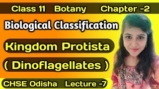 Kingdom Protista Dinoflagellates Class 11 Botany CHSE Biological Classification [upl. by Lovett552]