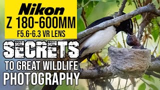 Nikon Z 180600mm  SECRETS To Great Wildlife Photography [upl. by Elstan]