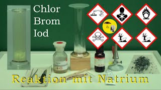 Reaktivität der Halogene  Chlor Brom Iod mit Natrium [upl. by Aneelehs964]