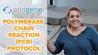 Polymerase Chain Reaction PCR Protocol [upl. by Nrol929]