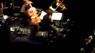 Planetarium  Diacritical Marks 2nd Movement  Nico Muhly  Orava String Quartet [upl. by Eynenihc]