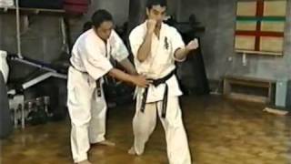 Technique kyokushin  Ryu Narushima [upl. by Vizzone]