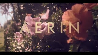 AERIN Hibiscus Palm [upl. by Malvina]