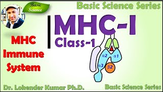 Major Histocompatibility Complex  Virus antigen presentation  MHCClass1  Basic Science Series [upl. by Anilas452]