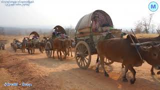 အတူတွဲကာ၊ တေးရေး  ရေနံသာဝင်းမောင်၊ တေးဆို  ရန်အောင် ၊ ပိုးအိစံ [upl. by Hashim]