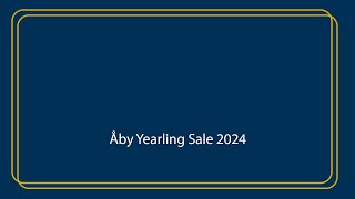 Åby Yearling Sale 2024 [upl. by Lederer]