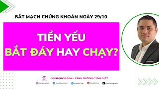 Bắt mạch chứng khoán ngày 2910 Tiền yếu Bắt đáy hay chạy [upl. by Aihsem35]