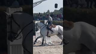 Working Equitation lusitano horse Gilberto Filipe 2time world champion [upl. by Noeruat]