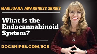 What is the Endocannabinoid System  Marijuana Awareness Series [upl. by Lunn]