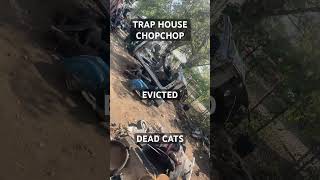 CHOPPED CHOP SILVERADO DEAD CAT STOLEN STUFF NO ELECTRICITY GAS WATER HOOD TRAP HOUSE 2024 2025 [upl. by Isej]