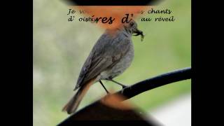 Je vous souhaite des rêvestexte de Jacques Brel citationswmv [upl. by Rosati]