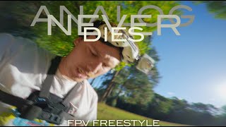 ANALOG NEVER DIES  stick cam freestyle [upl. by Yrek]